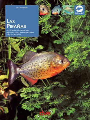cover image of Las pirañas